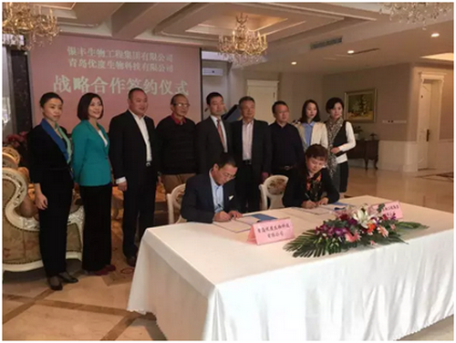 a8国际(股份)有限公司官网
