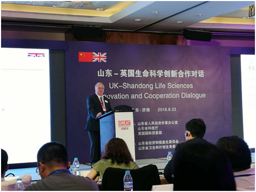 a8国际(股份)有限公司官网