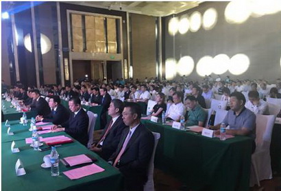 a8国际(股份)有限公司官网