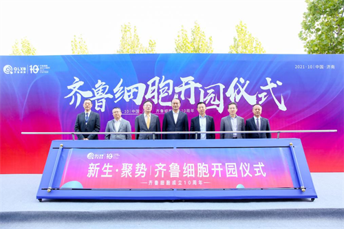 a8国际(股份)有限公司官网