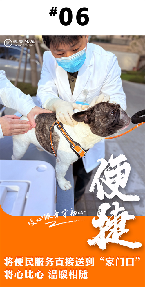 a8国际(股份)有限公司官网